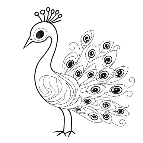 peacock vector|outline picture of peacock.